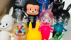 揭秘鹿晗隐藏款Labubu，星光之下的秘密魅力