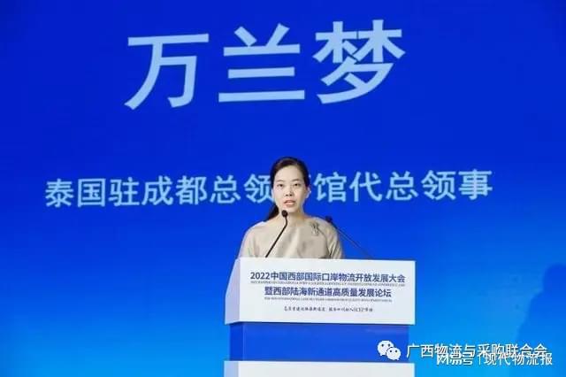 共创经济新契机，构建繁荣的未来经济蓝图