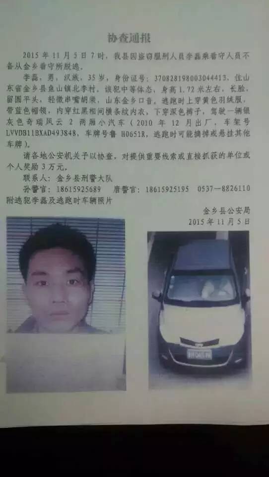 杀人嫌犯取保后失踪，真相待揭晓的悬疑事件