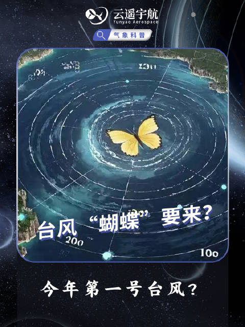 台风蝴蝶效应，探索自然之力与社会之链