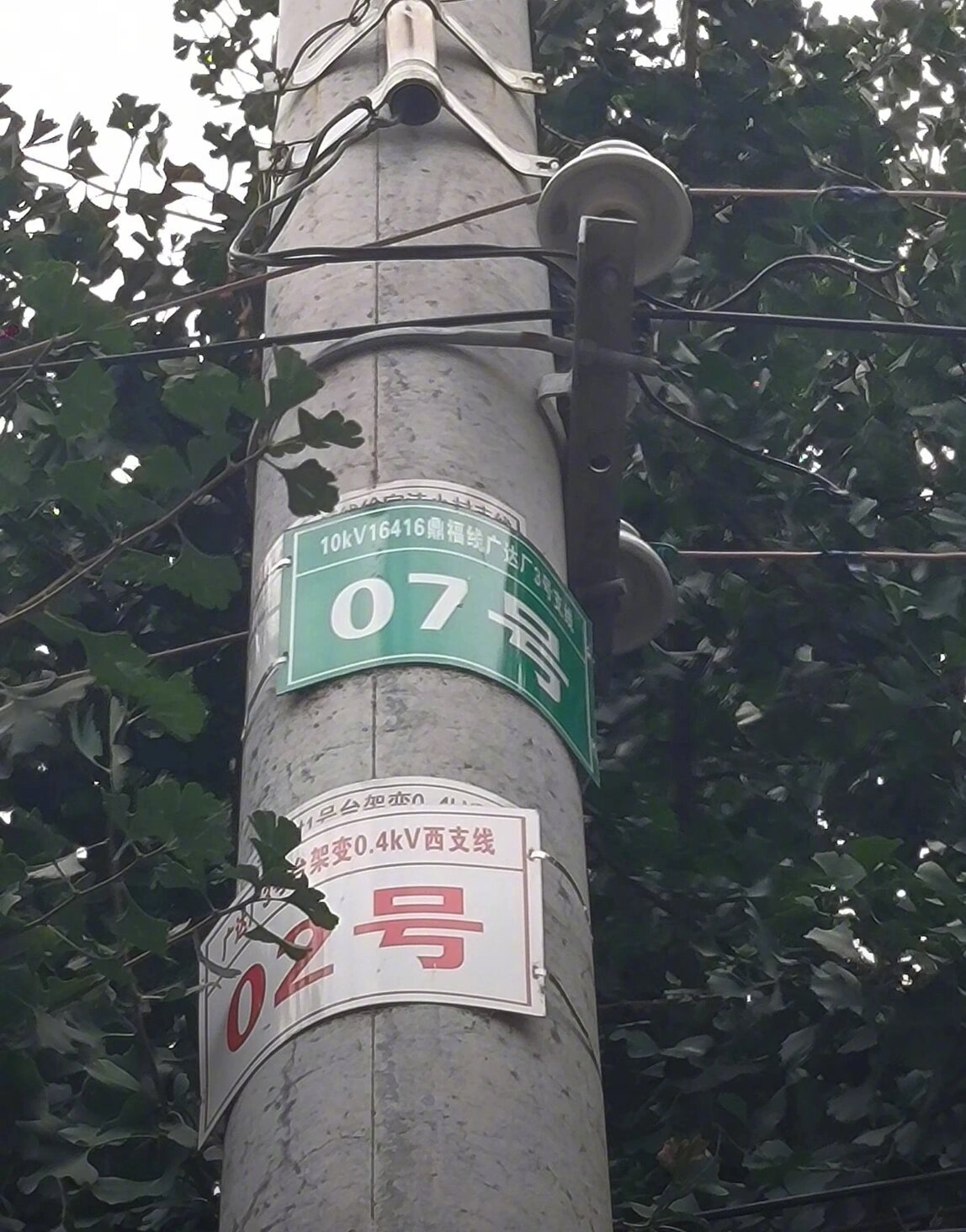 迷路时通过电线杆编号找路靠谱吗？