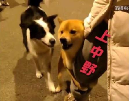 苏超散装与整装，不止于玩梗