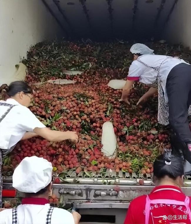 荔枝网购狂欢背后的故事，一个八岁男孩与二十六箱甜蜜相遇