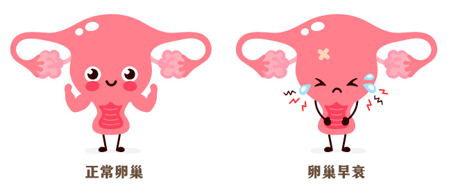 18岁女生自述卵巢早衰已绝经，经历与启示