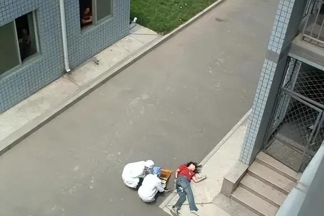 哈尔滨学生坠楼事件，深度分析与反思