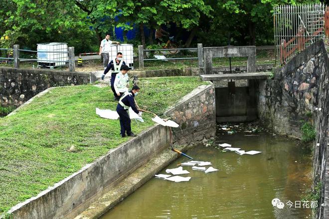 辟谣肇庆、云浮水源污染谣言，守护家园的清澈之源