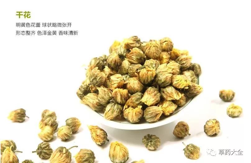 珍珠菊与胎菊，各自独特的功效与价值